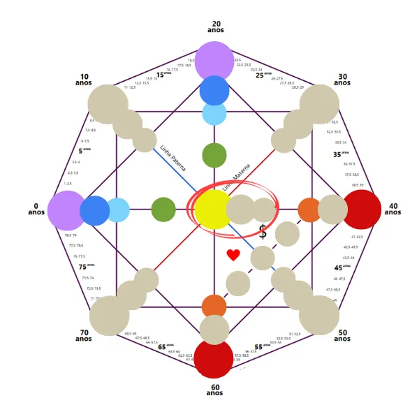 Mapa da Matriz do Destino: Linha da Sexualidade em destaque